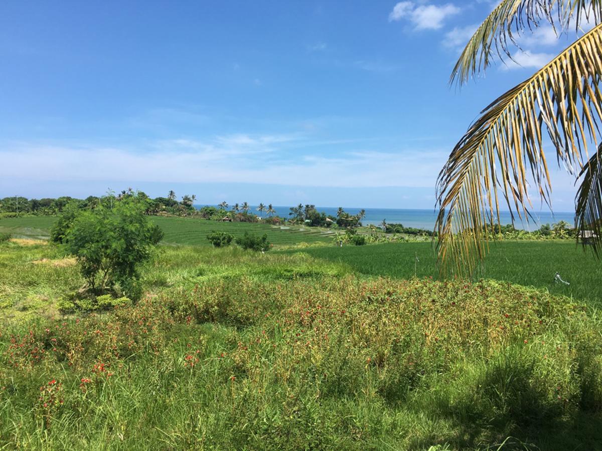 Exotica Bali Villa Canggu Dış mekan fotoğraf