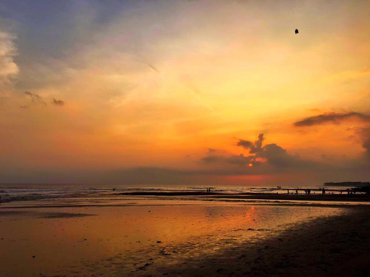 Exotica Bali Villa Canggu Dış mekan fotoğraf