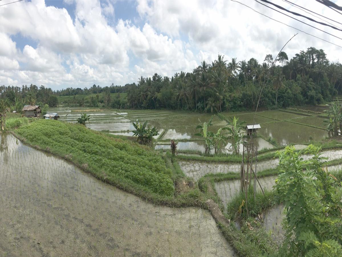 Exotica Bali Villa Canggu Dış mekan fotoğraf